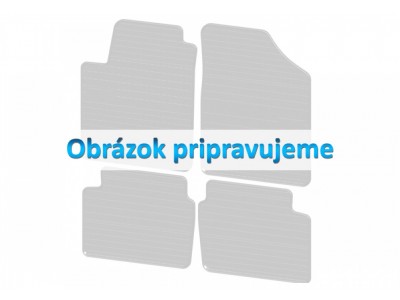 Autorohože gumové Škoda Roomster Praktik (od r.v. 2006, 2-miestny)
