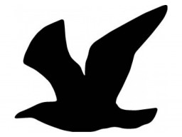 Samolepka Čajka black (12 cm) (C4)