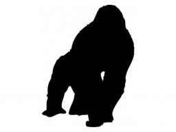 Samolepka Gorila black (12 cm) (C4)