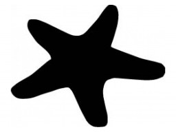 Samolepka Hviezdica black (12 cm) (C4)