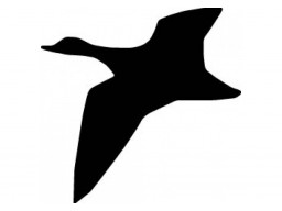 Samolepka Kačica black (12 cm) (C4)