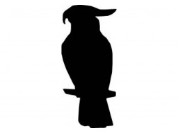 Samolepka Papagáj black (12 cm) (C4)
