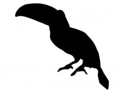 Samolepka Tukan black (12 cm) (C4)