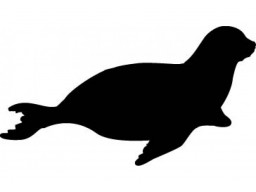 Samolepka Tuleň black (12 cm) (C4)