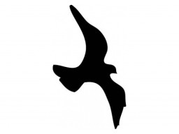 Samolepka Vták black (12 cm) (C4)