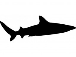 Samolepka Žralok black (12 cm) (C4)